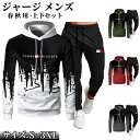 TOMWY HILEIDFRジャージ メンズ 上下セットアップ 春 秋 トレンド スウェット セットアップ 長袖 トップス パンツ ズボン 運動着 ジャージ ス...