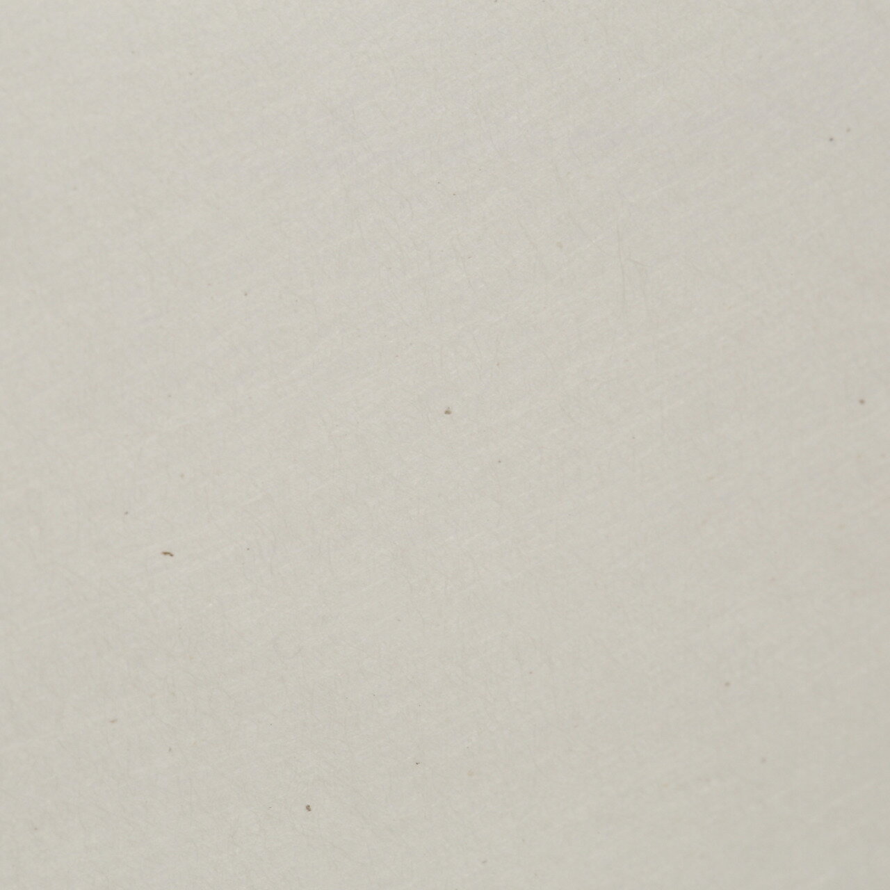 美須　花園　中肉　100枚入り