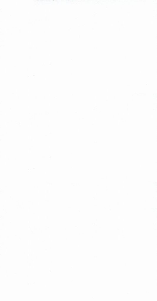 特漉き鳥の子三号紙　純白　6014　桂セレクション　3×6判