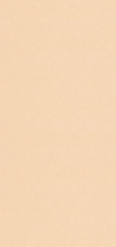 ���������ȩ��������