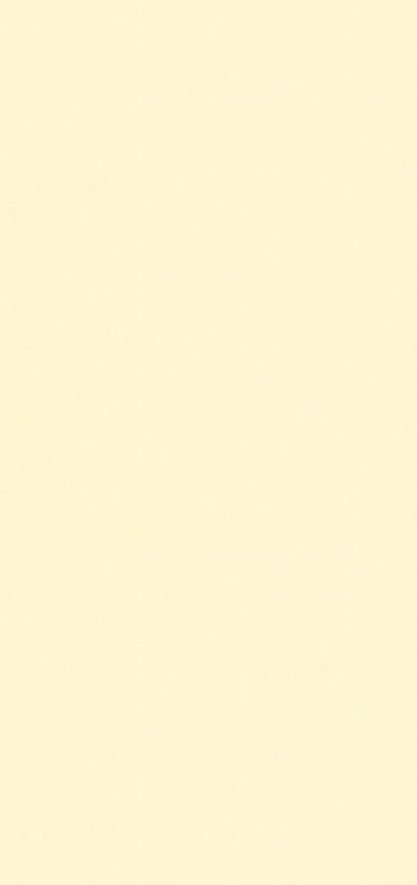 越前手漉雲肌　鳥の子色