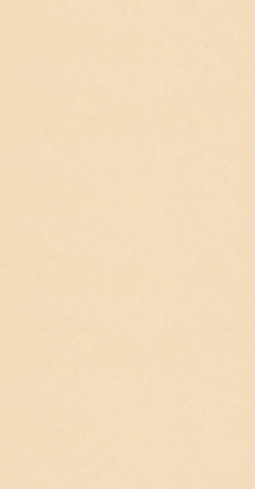 越前の和紙職人により一枚一枚手作りで作られる、手漉きの和紙。 表面が平でなめらかな、カラーバリエーション豊富な和紙で、やさしく気品ある色目等、他にはないオリジナルカラーを22色をご用意しました。 手漉（手加工）から出来る和紙は、年月を経て、気品と丈夫さが引き立ち、手漉きの味わいが深まります。 サイズ W1000mm×H2120mm ※すべて手作りのため、紙により多少色の具合が異なります。 ※直射日光が長時間あたる場所では、変退色する恐れがあります。 ※お客様のモニター環境により、画面上ご覧になっている色や素材感と実際の商品が異なる場合がございます。