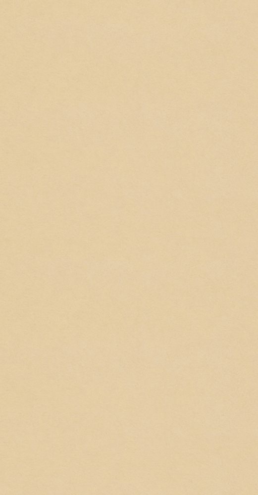 越前手漉鳥の子紙　桑染色