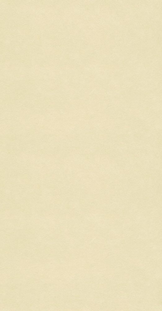 越前手漉鳥の子紙　猫柳色