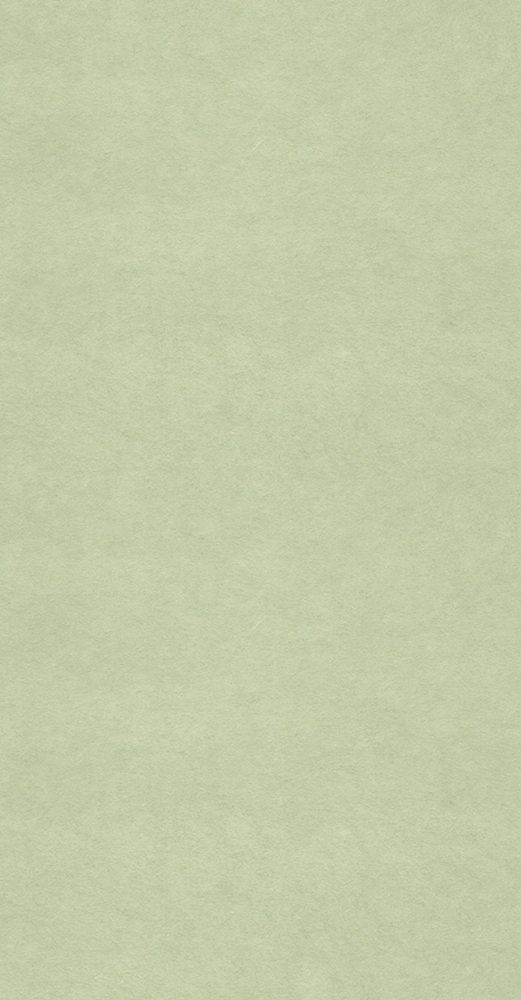 越前の和紙職人により一枚一枚手作りで作られる、手漉きの和紙。 表面が平でなめらかな、カラーバリエーション豊富な和紙で、やさしく気品ある色目等、他にはないオリジナルカラーを22色をご用意しました。 手漉（手加工）から出来る和紙は、年月を経て、気品と丈夫さが引き立ち、手漉きの味わいが深まります。 サイズ W1000mm×H2120mm ※すべて手作りのため、紙により多少色の具合が異なります。 ※直射日光が長時間あたる場所では、変退色する恐れがあります。 ※お客様のモニター環境により、画面上ご覧になっている色や素材感と実際の商品が異なる場合がございます。