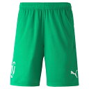 PUMA NEYMAR COPA SHORTS 品目：メンズサッカーハーフパンツ シーズン：2021年春夏モデル 品番：605570 カラー：07 ジェリービーン 素材：ポリエステル100% 生産国：トルコ 両サイド切り込みポケット。レギュラーフィット。 インターナショナルサイズ XS：身長157-163cm ウエスト71-77cm S：身長167-173cm ウエスト79-85cm M：身長177-183cm ウエスト83-89cm