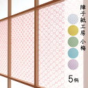 【2点までポスト投函可】障子紙 おしゃれ モダン 洋風 カラー デザイン【障子紙工房 小梅】美濃判サイズ 28cm×94cm 和柄 日本製 障子紙 簡単 張り替...