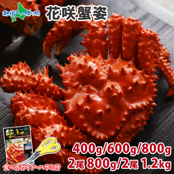 花咲ガニ 400g/600g/800g/400gx2尾/600gx2尾/(グルメ 蟹 姿 かに 北海道 お土産 海鮮 ギフト カニ 母の日ギフト 花咲蟹 はなさきがに お鍋 カニ鍋 内祝い お返し gift set 食べ物 母の日プレゼント 父の日 ギフト 花以外 ごちそう 快気祝い 合格祝い ははの日)