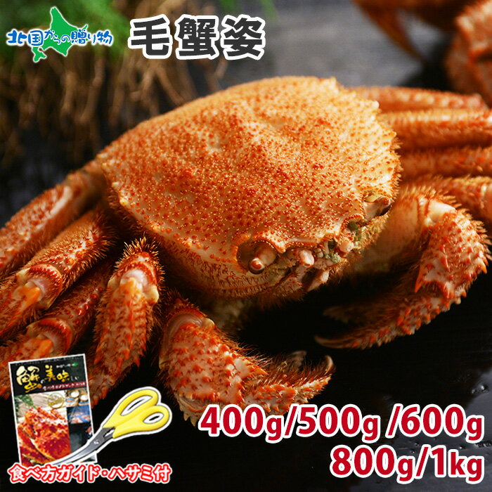 【蟹 ギフト】毛蟹 姿 400g/500g/600g/800g/1kg(カニ 父の日 食べ物 蟹 かに 北海道 海鮮 ギフト グルメ カニ 姿 毛がに けがに 即日発送 蟹味噌 かにみそ カニ味噌 鍋 すがた 蟹 北海道 毛ガニ 1杯 特大 高級 gift set 食品 北海道 お土産 内祝い お返し ごちそう ははの日)