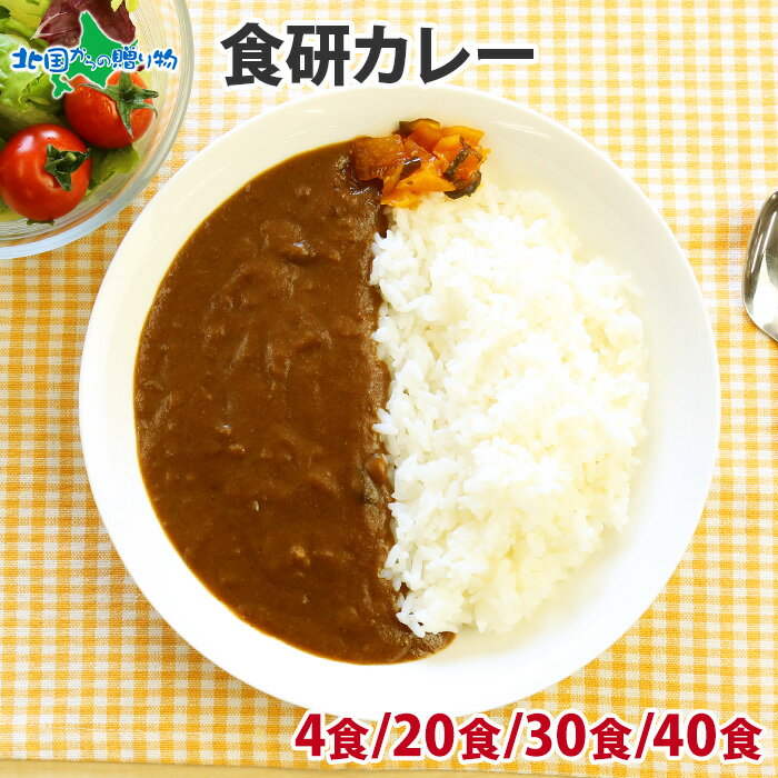 食研カレー 200g 4食/20食/30食/40食(食べ物 