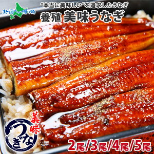 うなぎ 蒲焼き 2尾/3尾/4尾/5尾(ウナギ お歳暮 ギフト 鰻 土用の丑の日 ウナギの蒲焼き 食べ物 お取り寄せ グルメ 海鮮 御歳暮 ギフト 鰻 お歳暮 うなぎ 魚 誕生日 プレゼント 食品 お見舞い 快気祝い 内祝い お返し gift set 送料無料 お見舞い 祖父 祖母 80代 70代 90代)