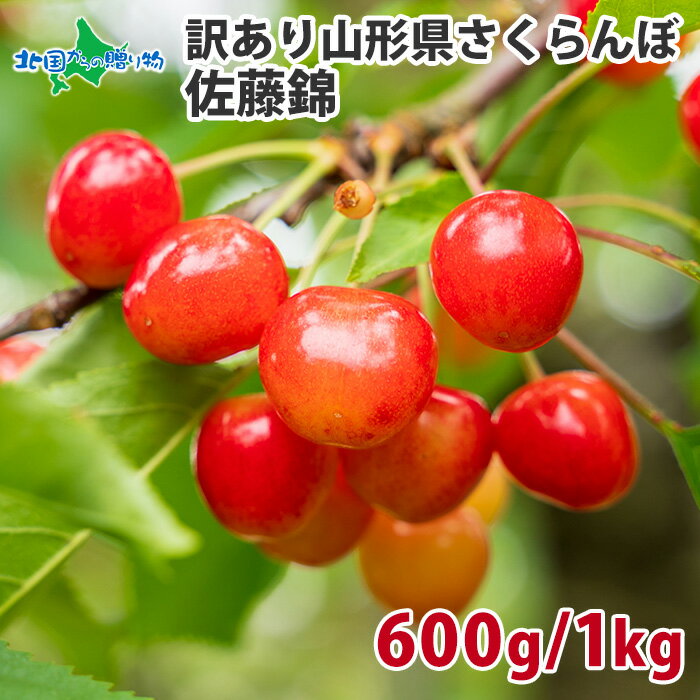 山形県産 訳あり さくらんぼ 佐藤錦 600g/1kg(サクランボ 父の日 ギフト 果物 フルーツ さくらんぼ 訳あり 佐藤錦 1kg 送料無料 父の日 さくらんぼ 佐藤錦 訳あり さくらんぼ 自宅用 食べ物 父の日 プレゼント fruit gift)