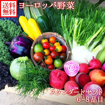 ヨーロッパ野菜 詰め合わせ スタンダードセット 6-8品目 夏ギフト 野菜 詰め合わせ セット 送料無料 ヨーロッパ サラダ 珍しい野菜 スタンダード ヨーロピアン ビーツ ルッコラ ロマネスコ バターナッツ お取り寄せ グルメ ギフト 野菜 敬老の日 ギフトセット gift set