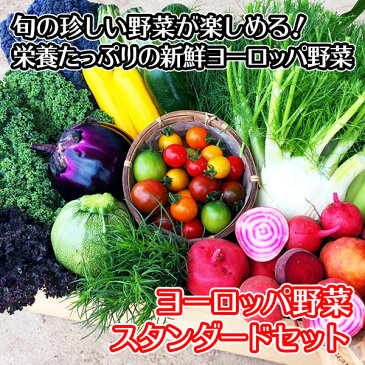 ヨーロッパ野菜 詰め合わせ スタンダードセット 6-8品目 夏ギフト 野菜 詰め合わせ セット 送料無料 ヨーロッパ サラダ 珍しい野菜 スタンダード ヨーロピアン ビーツ ルッコラ ロマネスコ バターナッツ お取り寄せ グルメ ギフト 野菜 敬老の日 ギフトセット gift set