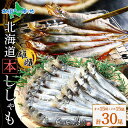 北海道産 本ししゃも 子持ちししゃも オス メス 各15尾 計30尾(シシャモ 干物セット ししゃも 北海道土産 お土産 海鮮 ギフト 魚介類 海産物 特大 無...