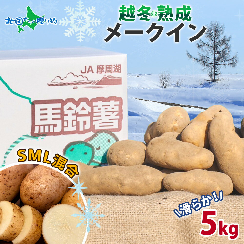 北海道 越冬熟成 平岡農場 メークイン (SML混合) 5kg 越冬 産地直送 ジャガイモ ポテト 芋 いも イモ お取り寄せ グルメ 旬 鮮度 ギフト 産地直送 国産 野菜 贈答品 冷蔵 農作物 皮ごと じゃがバター 皮ごと 北海道産 送料無料 北国からの贈り物 産直ギフト