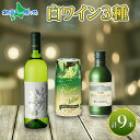 白ワイン 瓶 缶 飲み比べ 瓶1本+缶2種8本 モンデ酒造 缶ワイン 缶 果実酒 お中元ギフト 御中元ギフト お酒 ギフト お酒 ギフト 贈答用 ワイン 父の日...