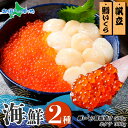 2種 海鮮丼 鱒いくら醤油漬け100gx5 パック 約5-6人前 ホタテ 帆立 ほたて 300g セット いくら イクラ いくら醤油 マス 鱒 ます 魚卵 海の...
