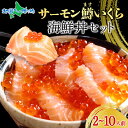 鱒いくら100g/サーモン200g 海鮮食べ比べセット(各1/各2/各3/各4/各5) ます いくら 鱒 マス イクラ 鮭 空飛ぶサーモン 大阪 北海道 海鮮 ...