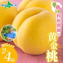 村松農園 黄金桃 2kg(4~6玉)/4kg(8~12玉) もも モモ 桃 黄桃 旬 産地直送 大玉 完熟 果物 フルーツ 桃 山梨 新鮮 人気 美味しい 贈答 ギフト 暑中見舞い 御中元 お中元 夏ギフト フルーツ ギフト 果物 村松農園 送料無料◆出荷予定:7月下旬-8月下旬