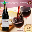 赤ワイン Liaisonリエゾン マスカット・ベリーA 1800ml×1本 フルボトル 辛口 ミディアムボディ 日川中央葡萄酒 山梨県 笛吹市