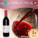 赤ワイン NOVICE マスカット・ベーリーA 720ml×1本 フルボトル 日川中央葡萄酒 山梨県 笛吹市