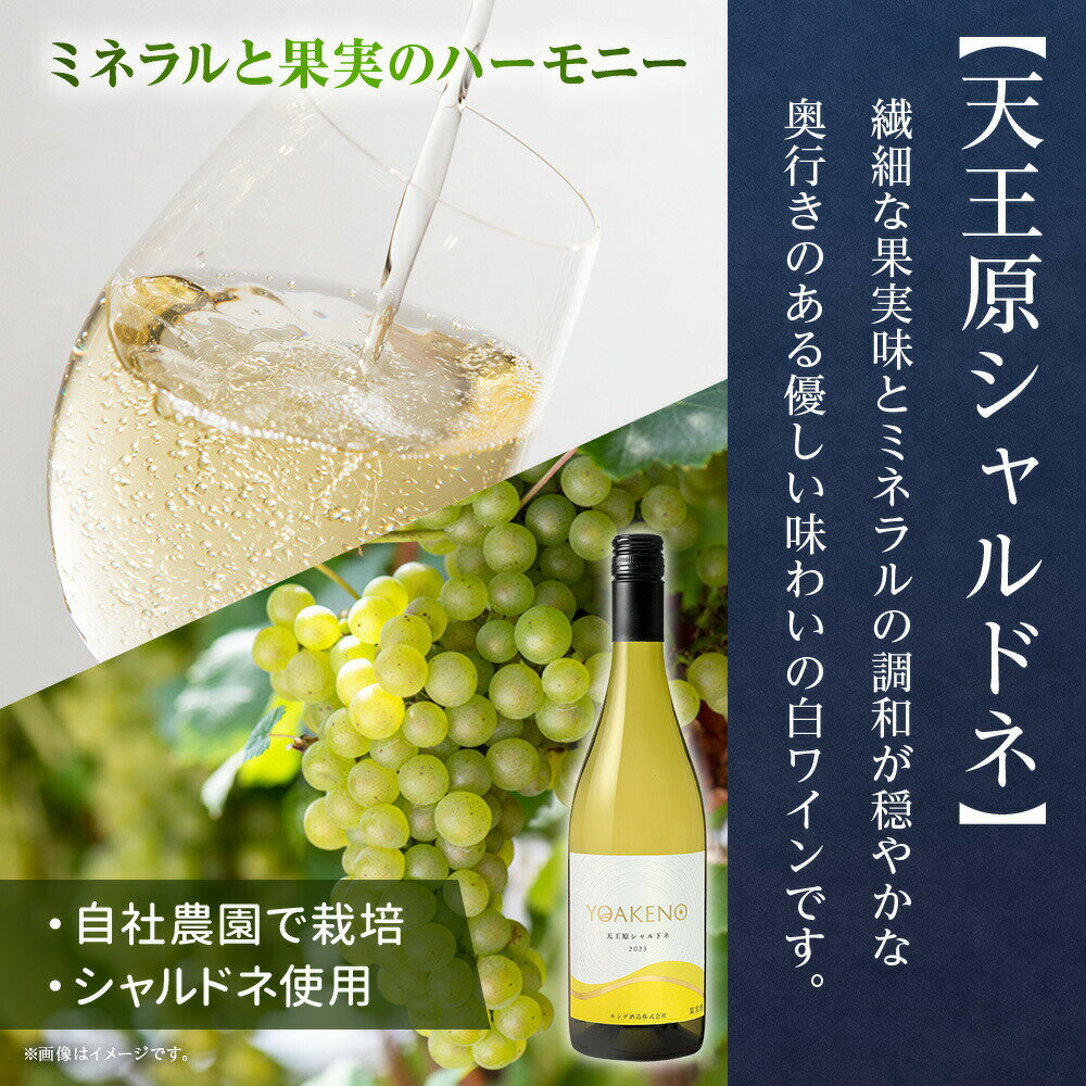 モンデ酒造 白ワイン飲み比べ 甲州 天王原シャルドネ 各1本 モンデ酒造 ワイン プレゼント ホワイトデーのお返し お酒 送料無料 果実酒 ギフト gift set 宅飲み キャンプ BBQ パーティー 誕生日プレゼント 北国からの贈り物 産直ギフト