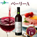 ベーリーA 720ml モンデ酒造 赤 ワイン 中元 夏ギフト お中元ギフト お酒 御中元ギフト 送料無料 果実酒 敬老の日 プレゼント 敬老の日 ギフト gift set 晩酌 宅飲み 家飲み キャンプ BBQ バーベキュー 贈答用 誕生日プレゼント 北国からの贈り物 産直ギフト