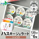 夏ギフト お中元ギフト ジェラート ハスキージェラート ショコラ 6個入 チョコレート アイス ギフト箱 熨斗 送料無料 ご当地 フレーバー お取り寄せスイーツ お中元 アイス 御中元ギフト お菓子 お土産 新潟県 人気 手土産 帰省土産 専門店 定番 gift set 敬老の日プレゼント