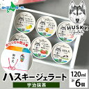 夏ギフト お中元ギフト ジェラート ハスキージェラート 宇治抹茶 6個入 抹茶 アイス ギフト箱 熨斗 送料無料 ご当地 フレーバー お取り寄せスイーツ お中元 アイス 御中元ギフト お菓子 お土産 新潟県 人気 手土産 帰省土産 専門店 敬老の日プレゼント 敬老の日ギフト