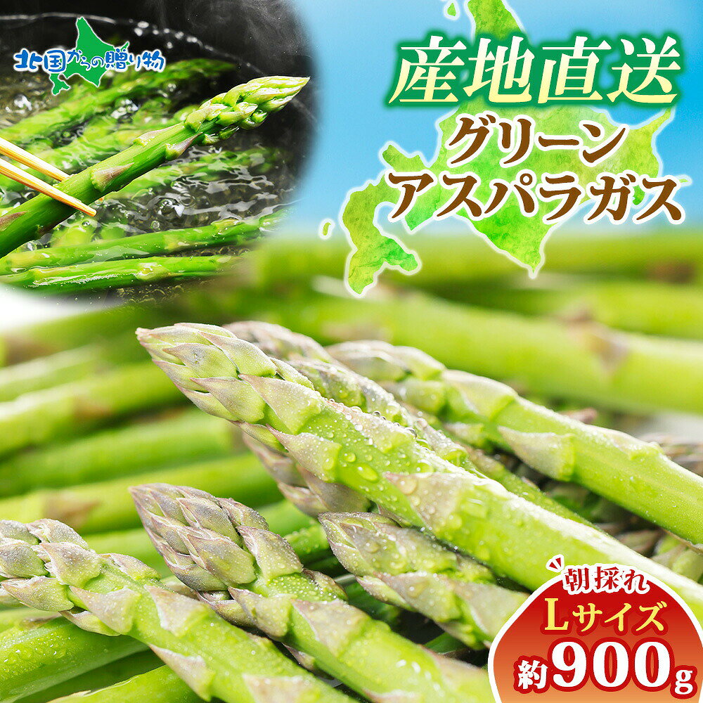 グリーンアスパラガス Lサイズ 900g 北海道産直 北海道産 グリーン アスパラ 北海道 アスパラガス 900g 送料無料 産地直送 産直野菜 新鮮野菜 予約販売 予約受付中 プレゼント ギフト 食べ物 gift◆出荷予定：5月中旬-6月上旬 北国からの贈り物 産直ギフト