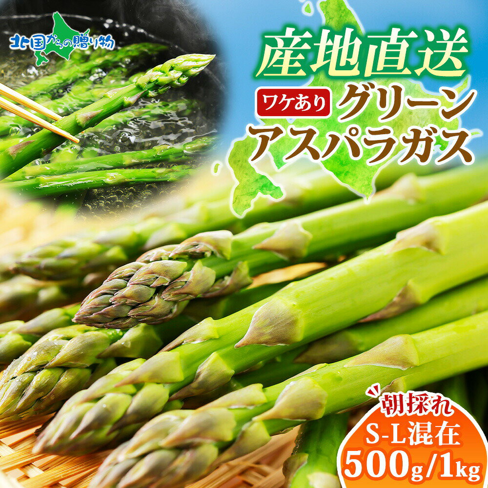 北海道産 訳あり グリーンアスパラガス S-L混在 500g/1kg(甘い 訳あり アスパラガス 送料無料 北海道 アスパラガス 訳あり 食品 ロス 食べ物 わけあり フードロス 業務用 産直野菜 産地直送 新鮮野菜 予約販売 5月中旬-6月上旬 北国からの贈り物 産直ギフト)