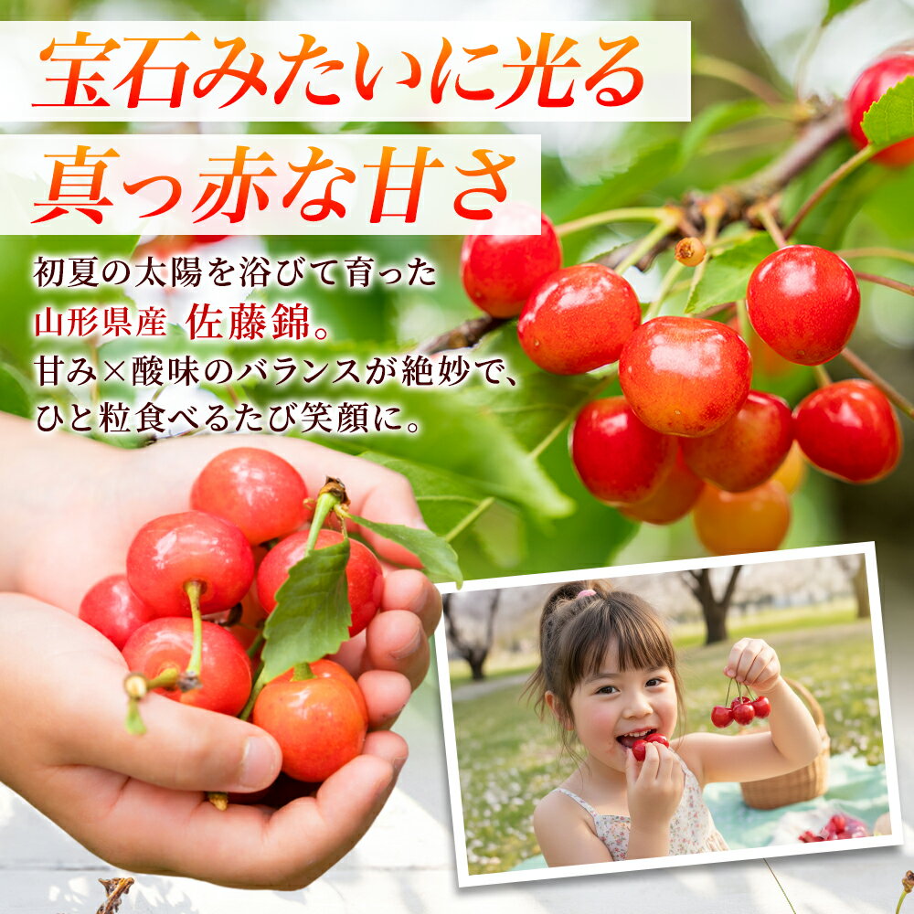 さくらんぼ 佐藤錦 優品 L玉 600g(山形県産 サクランボ 父の日 ギフト さくらんぼ 佐藤錦 果物 父の日 プレゼント フルーツ ギフト 送料無料 さくらんぼ 佐藤錦 父の日 サクランボ 父の日 ギフト 食べ物 父の日 さくらんぼ fruit gift 夏ギフト 北国からの贈り物 産直ギフト)