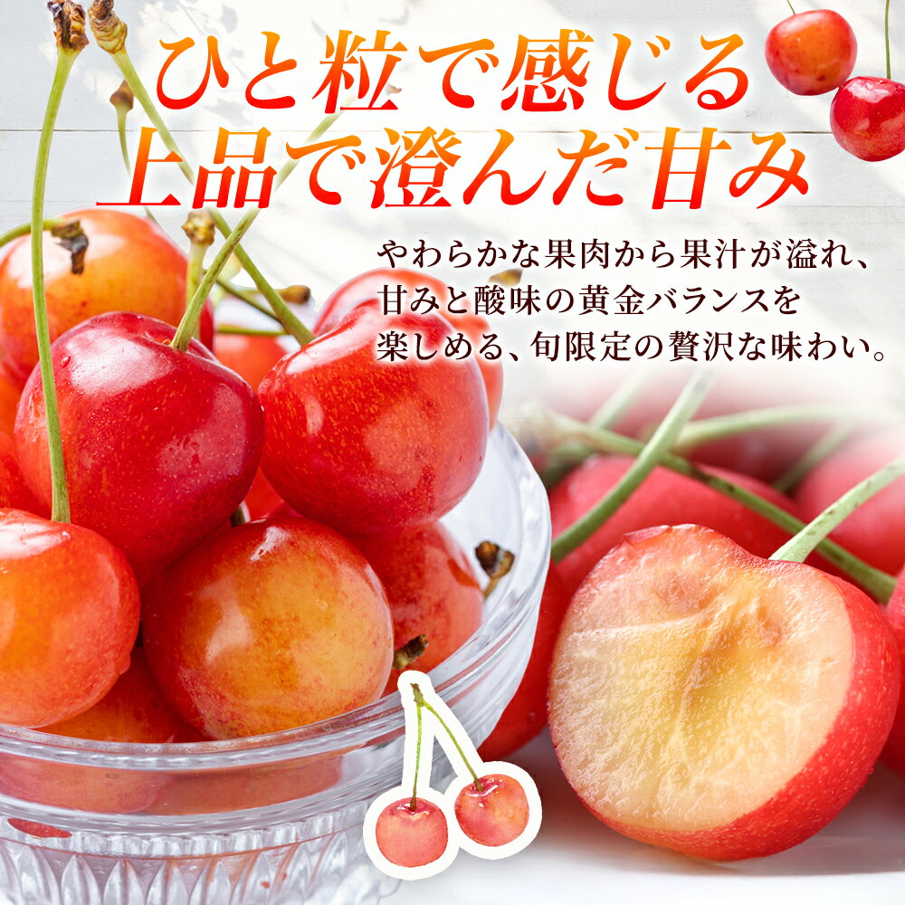 さくらんぼ 佐藤錦 優品 L玉 600g(山形県産 サクランボ 父の日 ギフト さくらんぼ 佐藤錦 果物 父の日 プレゼント フルーツ ギフト 送料無料 さくらんぼ 佐藤錦 父の日 サクランボ 父の日 ギフト 食べ物 父の日 さくらんぼ fruit gift 夏ギフト 北国からの贈り物 産直ギフト)