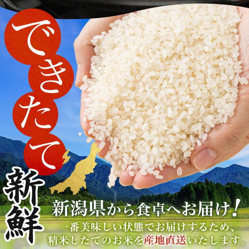 令和7年 新潟県産 コシヒカリ 精米 5kg/10kg 米 白米 精米 お米 ごはん ライス 甘...