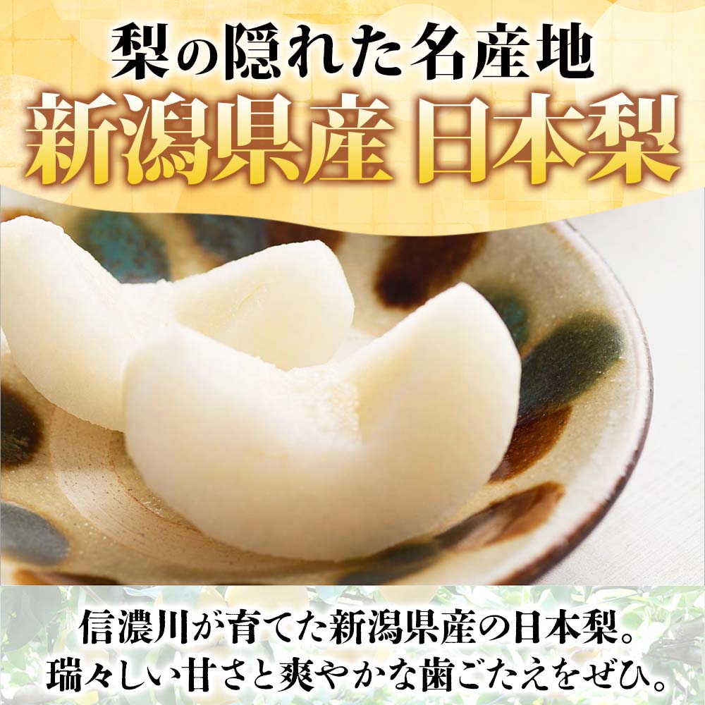 新潟県産 完熟日本梨 3kg/5kg(旬 果物 梨 幸水 豊水 新高 あきづき 新興 愛宕 産直 梨 プレゼント 果物ギフト 産地直送 送料無料 フルーツ ギフト お見舞い 果物 フルーツ ギフト ナシ なし お取り寄せ お土産 新潟土産 北国からの贈り物 産直ギフト 9月初旬-12月上旬頃) washoku-10002500 北国からの贈り物 産直ギフト サンプル画像2
