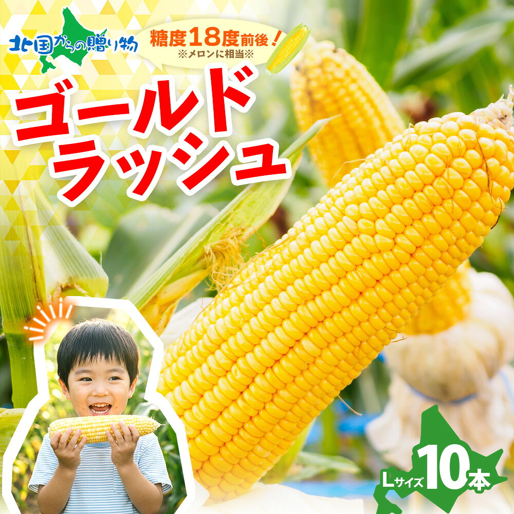 とうもろこし ゴールドラッシュ 10本 Lサイズ 北海道産 トウモロコシ 甘い とうもろこし 北海道 BBQ 送料無料 とうきび 北海道 トウモロコシ 甘い トウキビ 生で 食べられる とうもろこし 北海道産 産直 直送 ギフト◆出荷予定：7月下旬-8月下旬 北国からの贈り物 産直ギフト