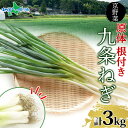 九条ねぎ 原体 根付き 3kg 京のおねぎはん 京野菜京都府産 葱 ネギ ラーメン うどん 味噌汁 お鍋 ねぎ焼き 薬味 業務用 常備菜 産地直送 お取り寄せ 京都 野菜 送料無料 西陣屋 京都府 亀岡市