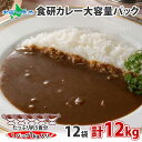 大容量 日本食研 カレー レトルト 食研カレー 1kg 12