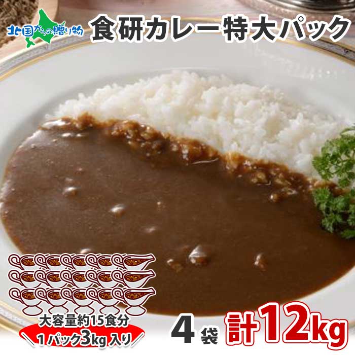 大容量 特大 日本食研 カレー レトルト 食研カレー 3kg