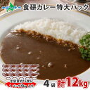 大容量 特大 日本食研 カレー レトルト 食研カレー 3kg