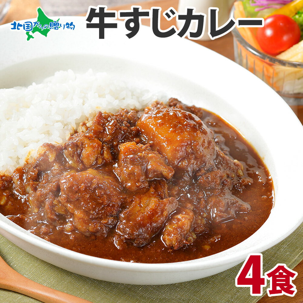 カレー 弟子屈 牛すじ カレー 4食 業務用 レトルト カレー セット 牛肉 牛筋 高級 中辛 ビーフ カレー レトルト 食品 常温保存 北海道グルメ ギフト 送料無料 ご当地 カレー gift set 北海道 お土産 母の日 プレゼント 花以外 母の日 ギフト 父の日 内祝い お返し 就職祝い 結婚祝い