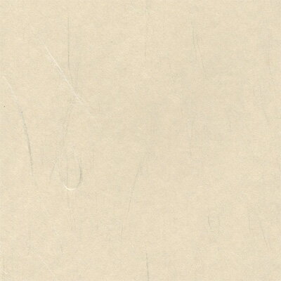 お値打ち襖紙　ふすま紙　T-2023