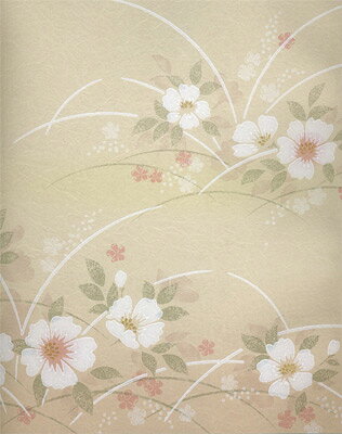 ふすま紙 お値打ち襖紙 T-2704 (ふすま/襖/お値打ち価格/モダン/張替え/張り替え/洋風/新築/リフォーム/通販/種類/和室/おしゃれ/戸襖/建具) [2]