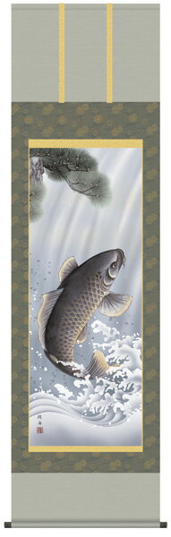 大昇鯉 掛け軸 (掛軸/端午の節句/壁掛け/子供の日/男の子/出産祝い/こどもの日/初節句/送料無料)