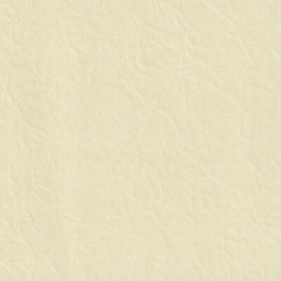 カラーバリエーションふすま紙　1817