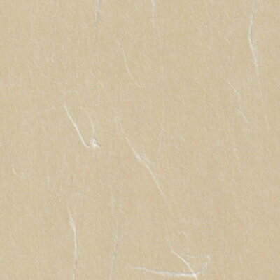 カラーバリエーションふすま紙　1819