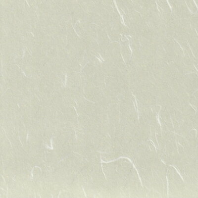 カラーバリエーションふすま紙　2005