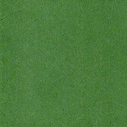 カラーバリエーション襖紙　ふすま紙　SI-7005