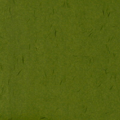 カラーバリエーション襖紙　ふすま紙　SI-7120